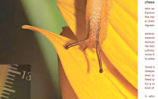 能量产生、转换、储存、节能与耦联